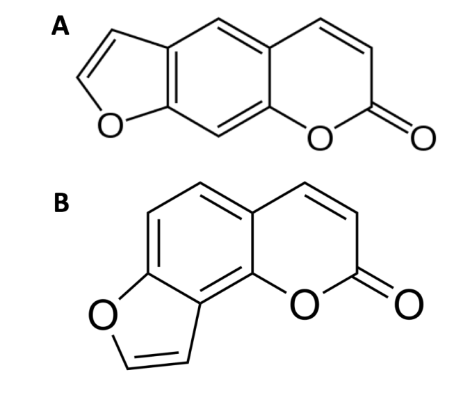 Screen Shot 2018-06-24 at 3.26.28 PM