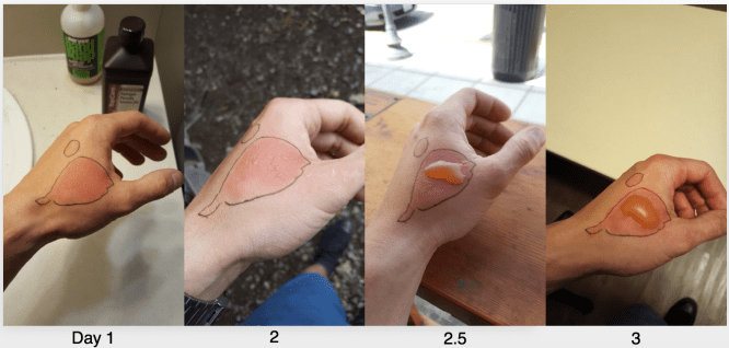 Screen Shot 2018-06-24 at 4.26.21 PM.png